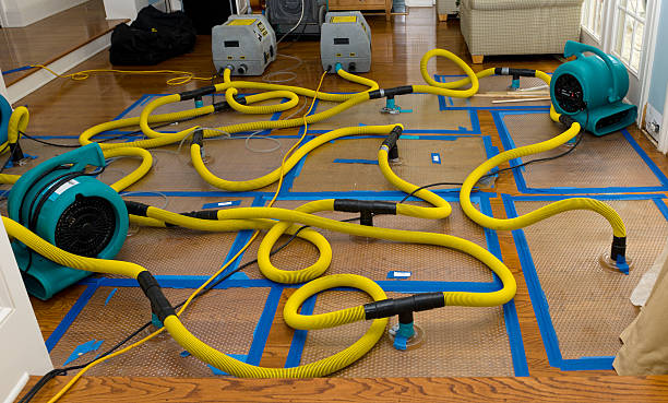 Professional Sewage Cleanup technician working in Wilmington, NC
